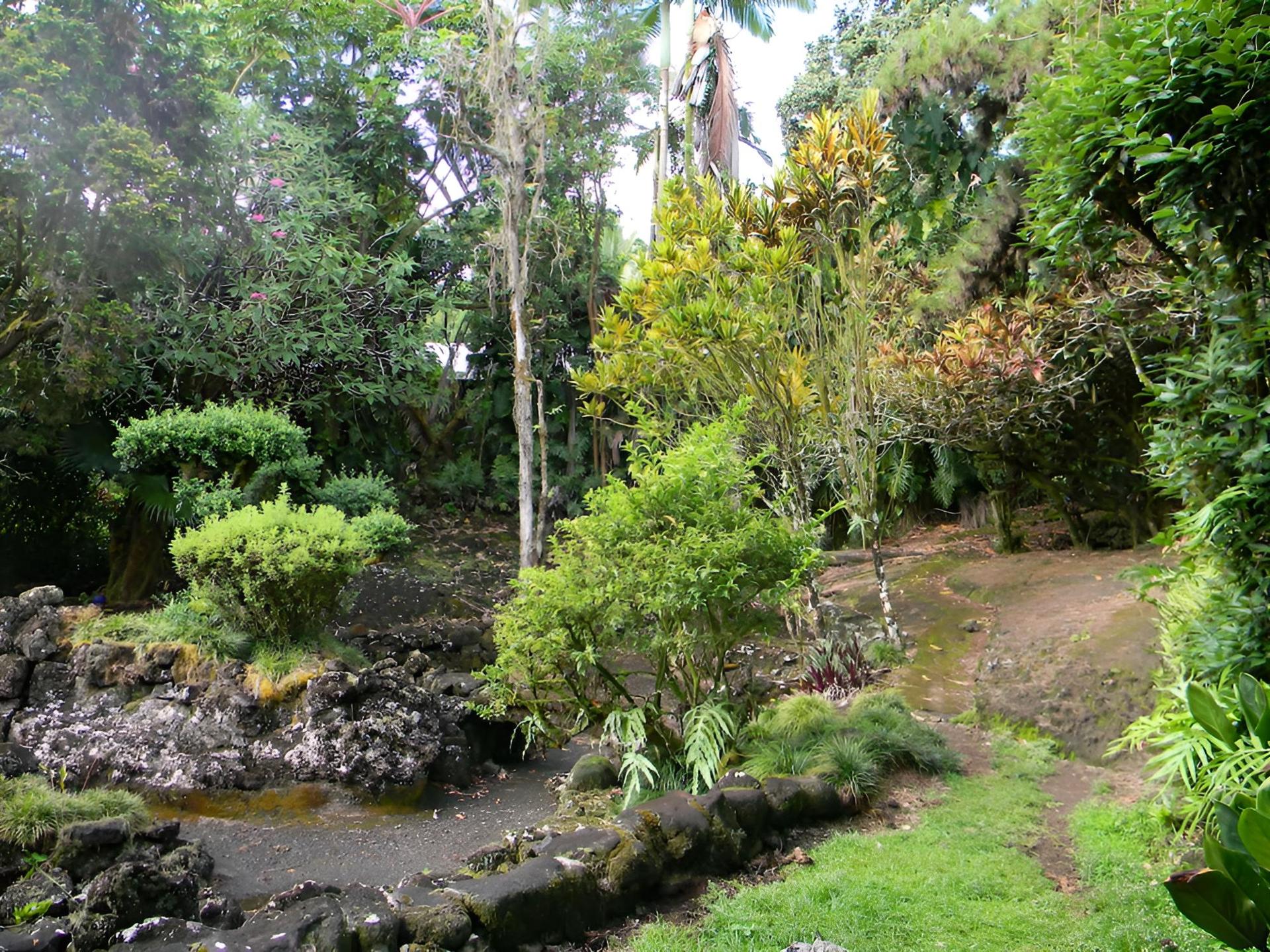 Maureen's Bed & Breakfast photo 7