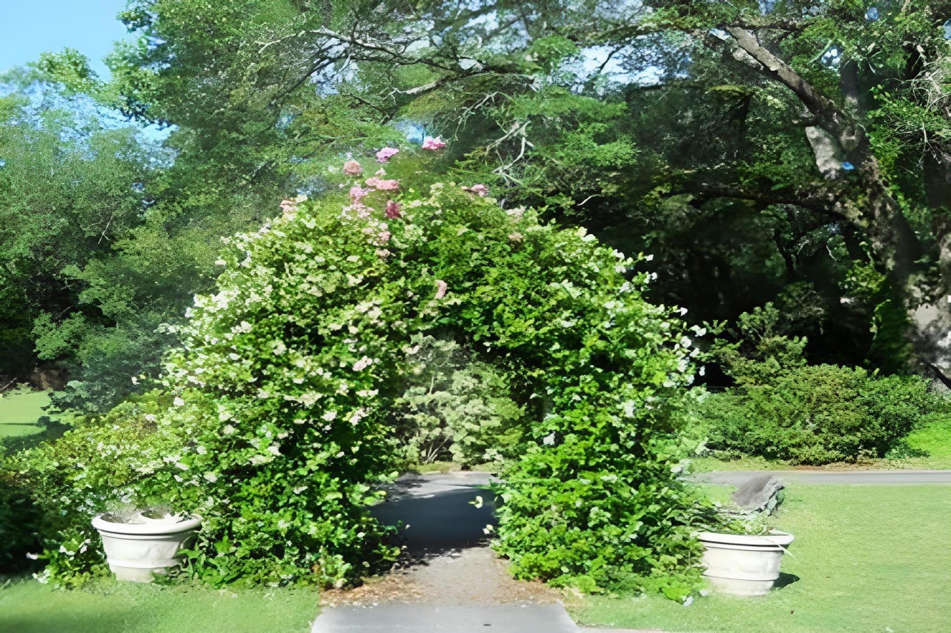 Woodridge Bed & Breakfast of Louisiana photo 19