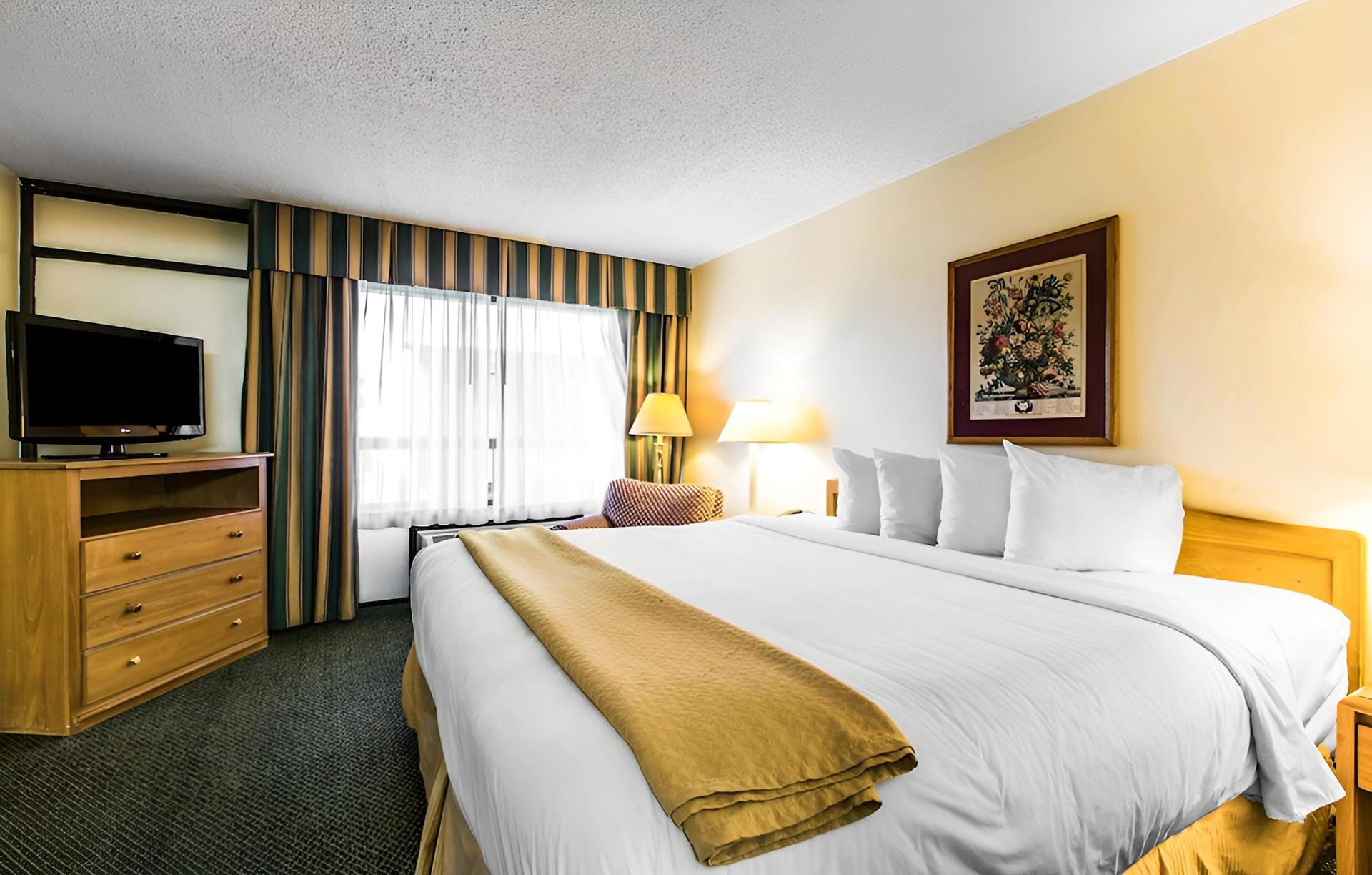 Quality Inn & Suites photo 10