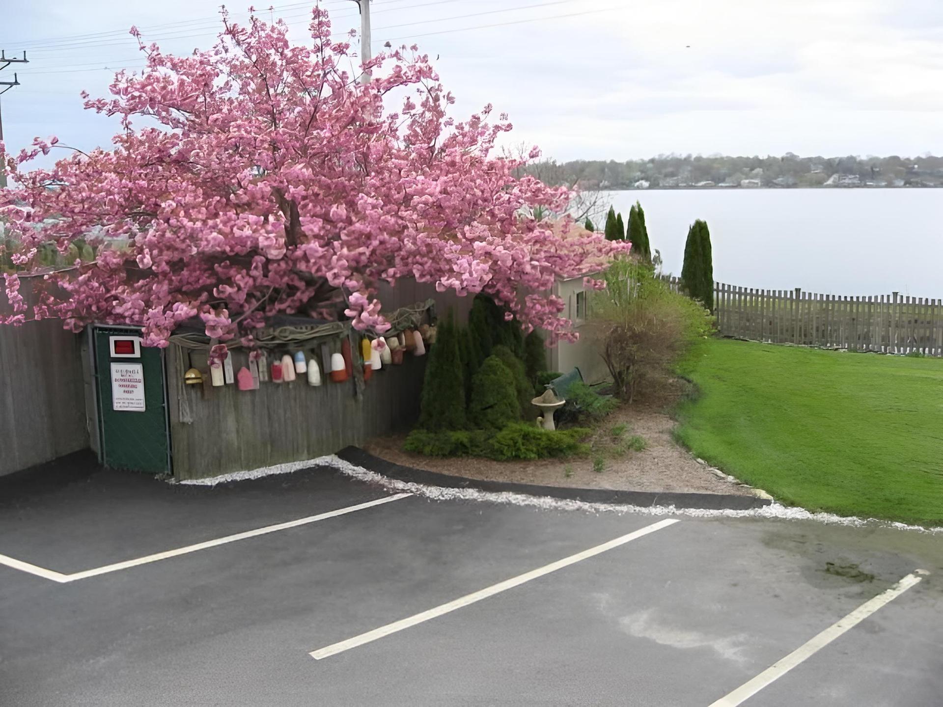 Sea Whale Motel photo 48