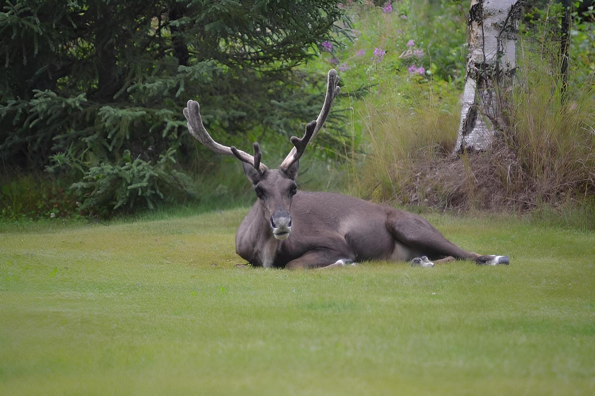 AllSeasons Bed & Breakfast photo 4
