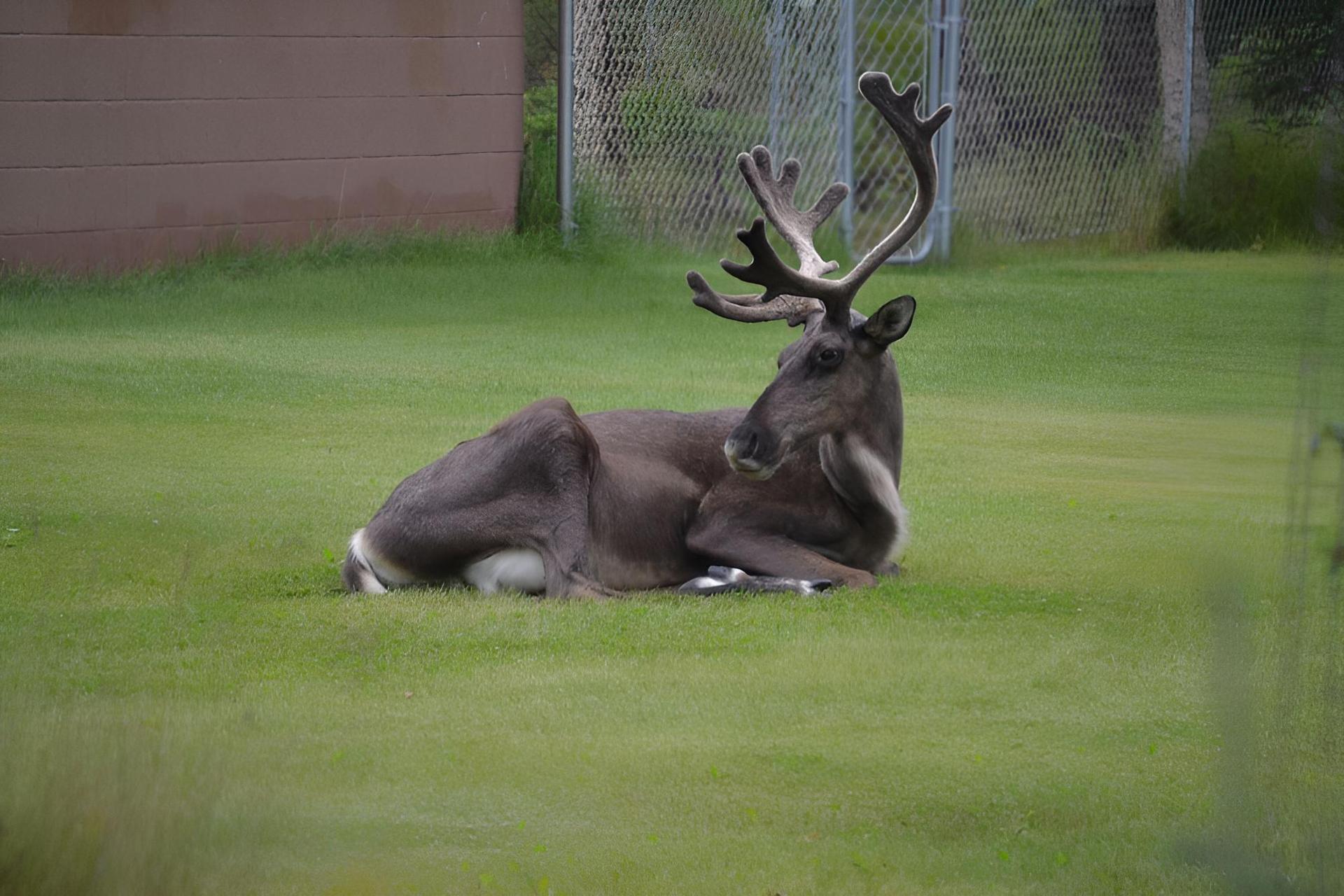 AllSeasons Bed & Breakfast photo 8