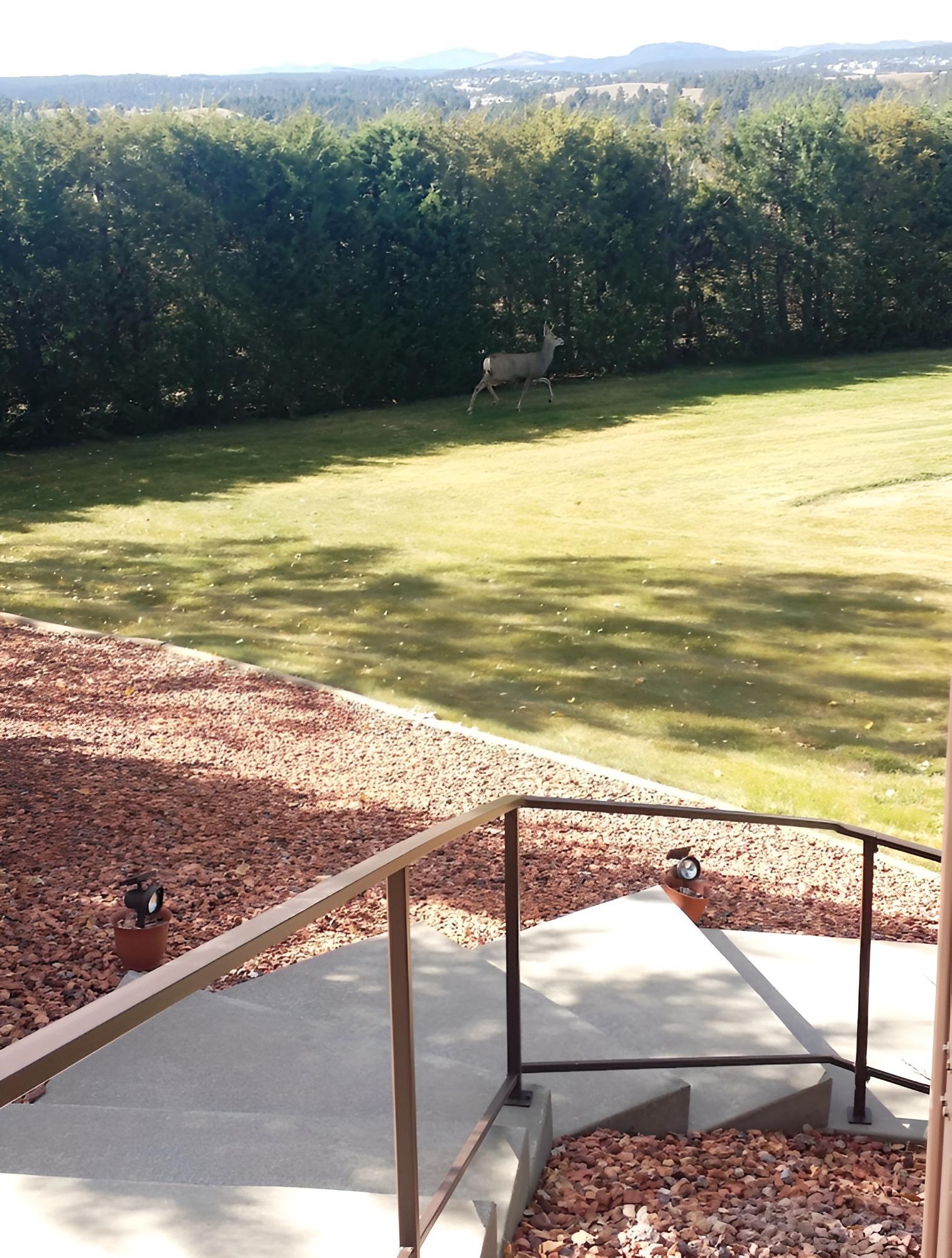 Emerald Hills B&B photo 6