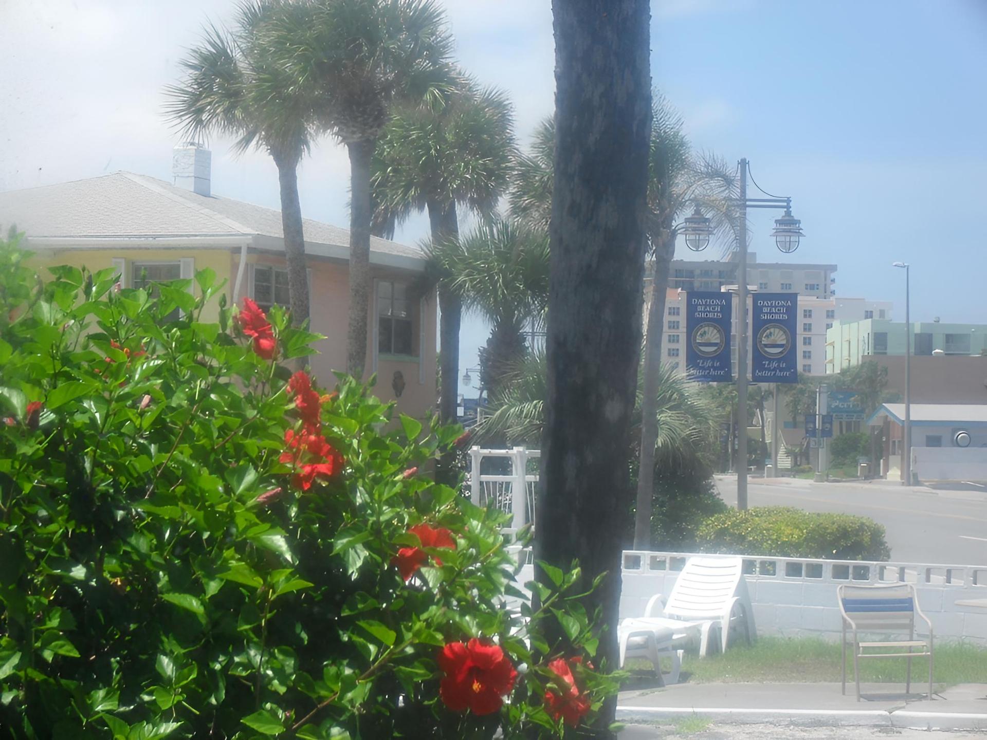 Shore Winds Motel photo 45