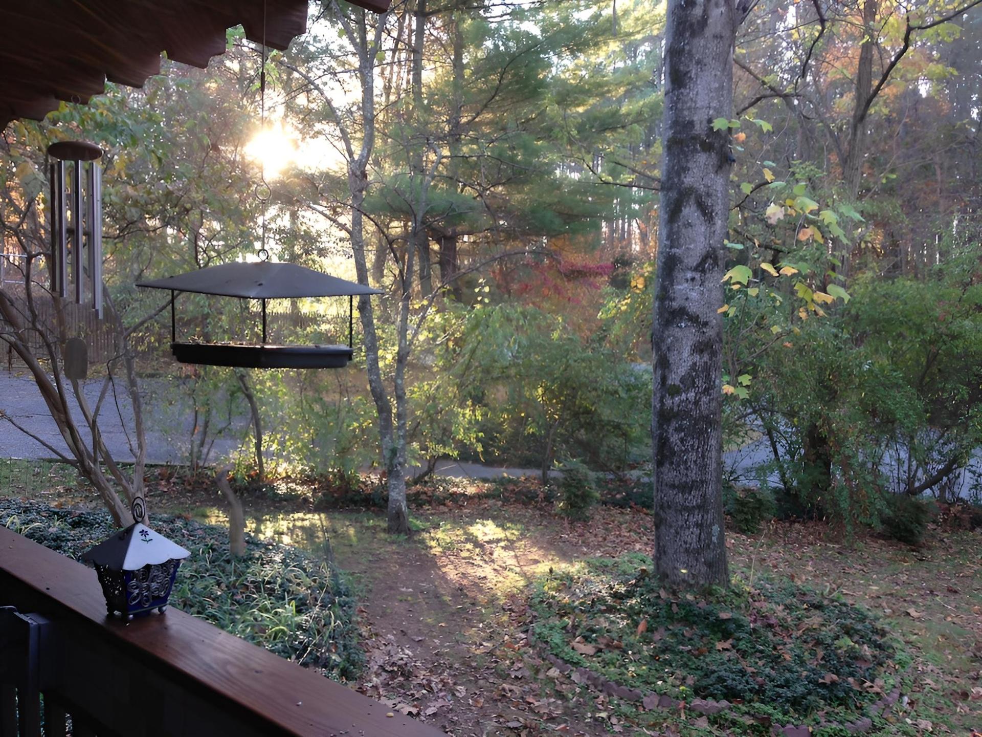 The Ebenezer House Bed & Breakfast photo 29