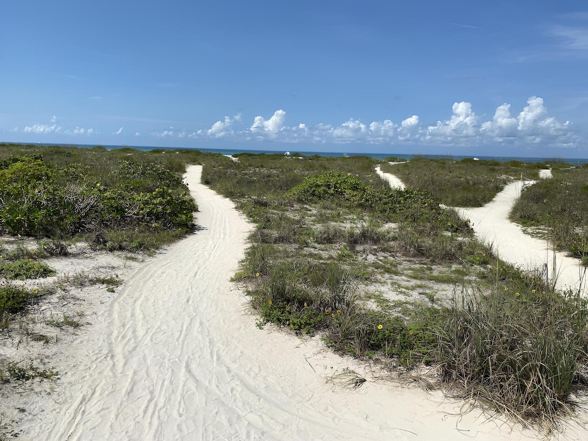 Tropical Winds Motel & Cottages photo 14