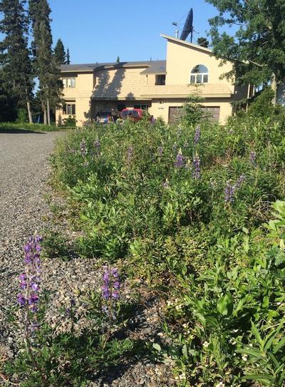 Ocean View Inn Kenai — hotel in Kenai
