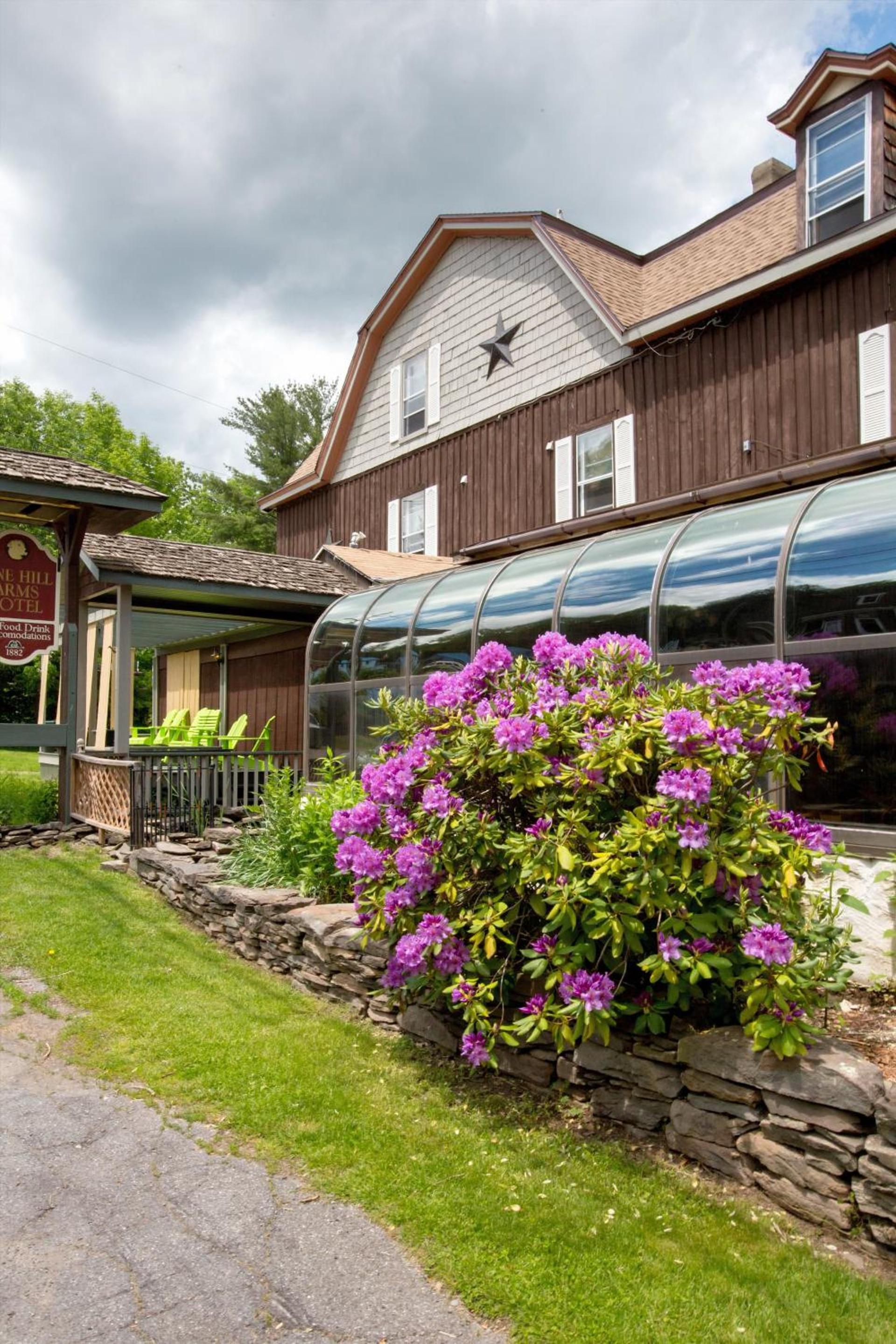 Pine Hill Arms Hotel — hotel in Pine Hill
