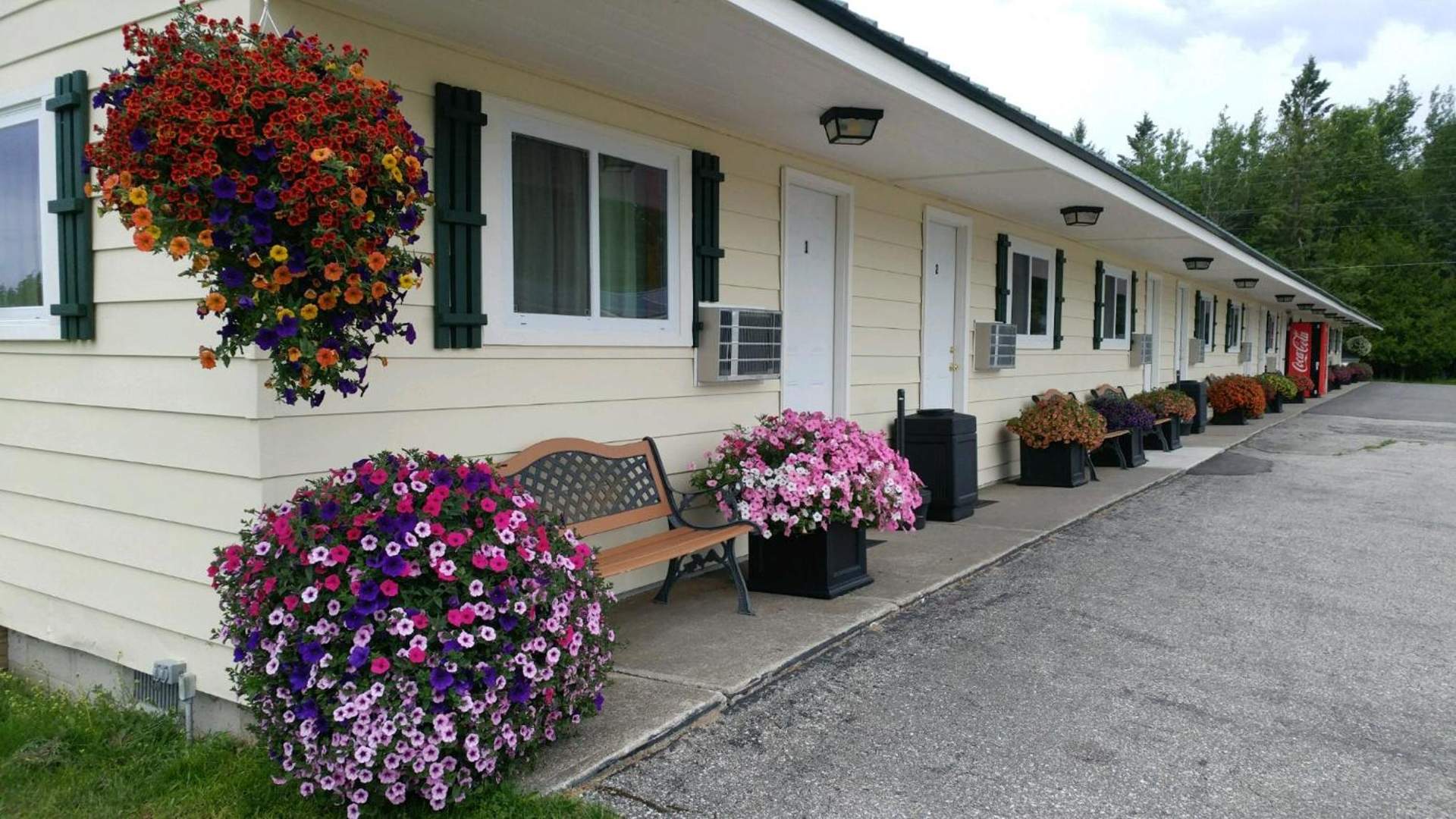 Sunset Motel at Armand's Gardens