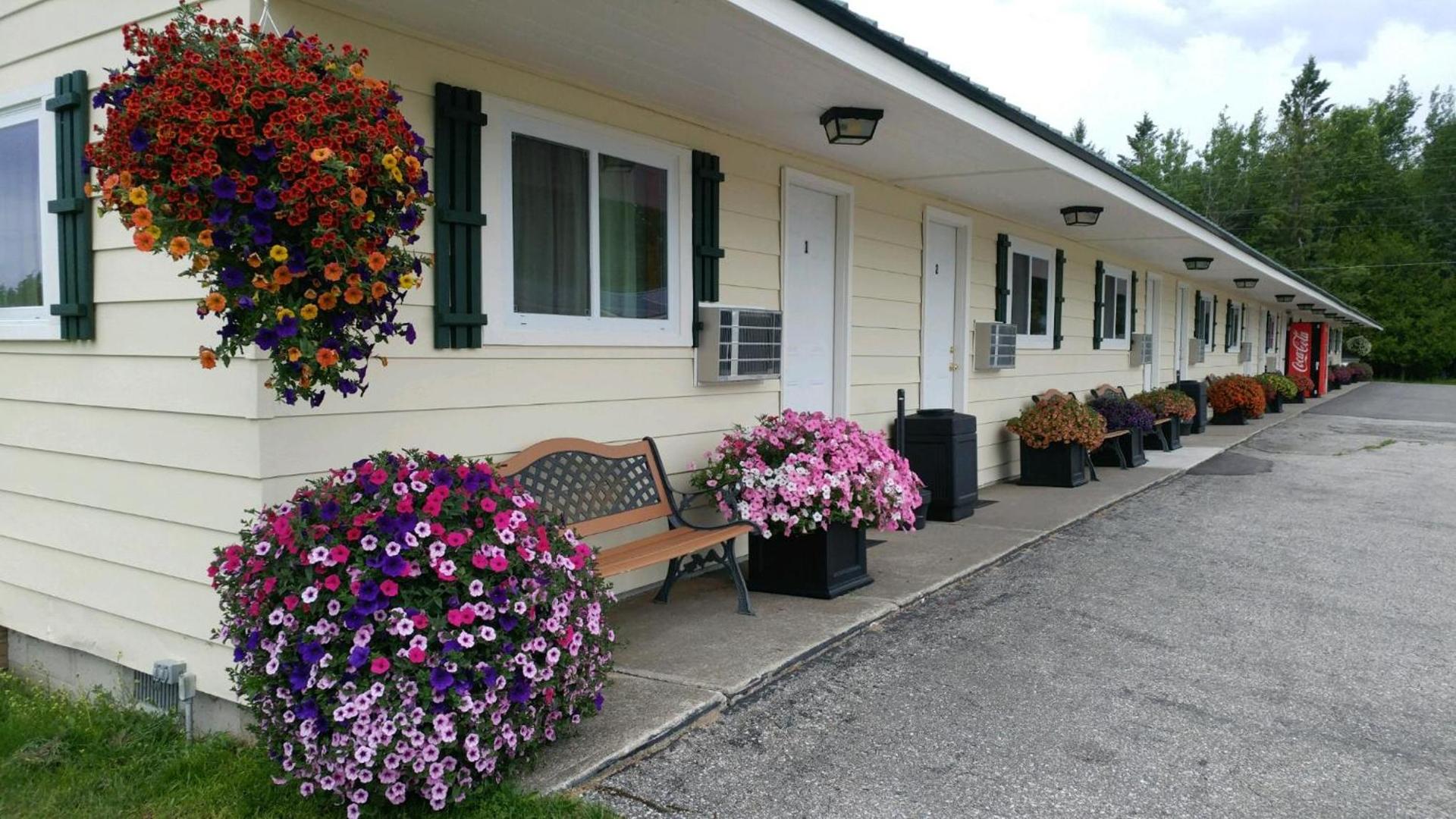 Sunset Motel at Armand's Gardens — hotel in Saint Ignace