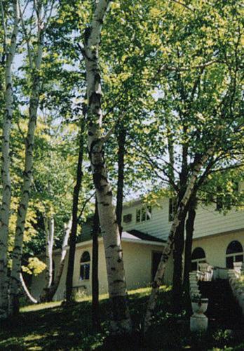 White Birch Inn — hotel in Sturgeon Bay