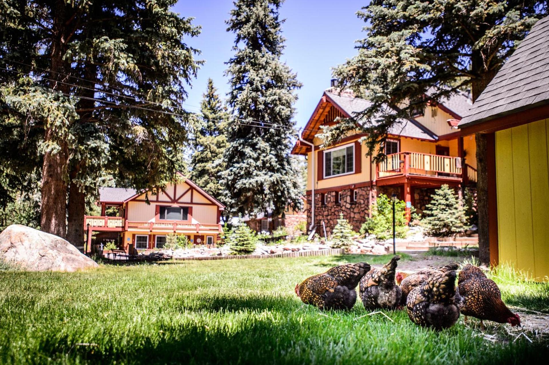 Alpen Way Chalet Mountain Lodge — hotel in Evergreen