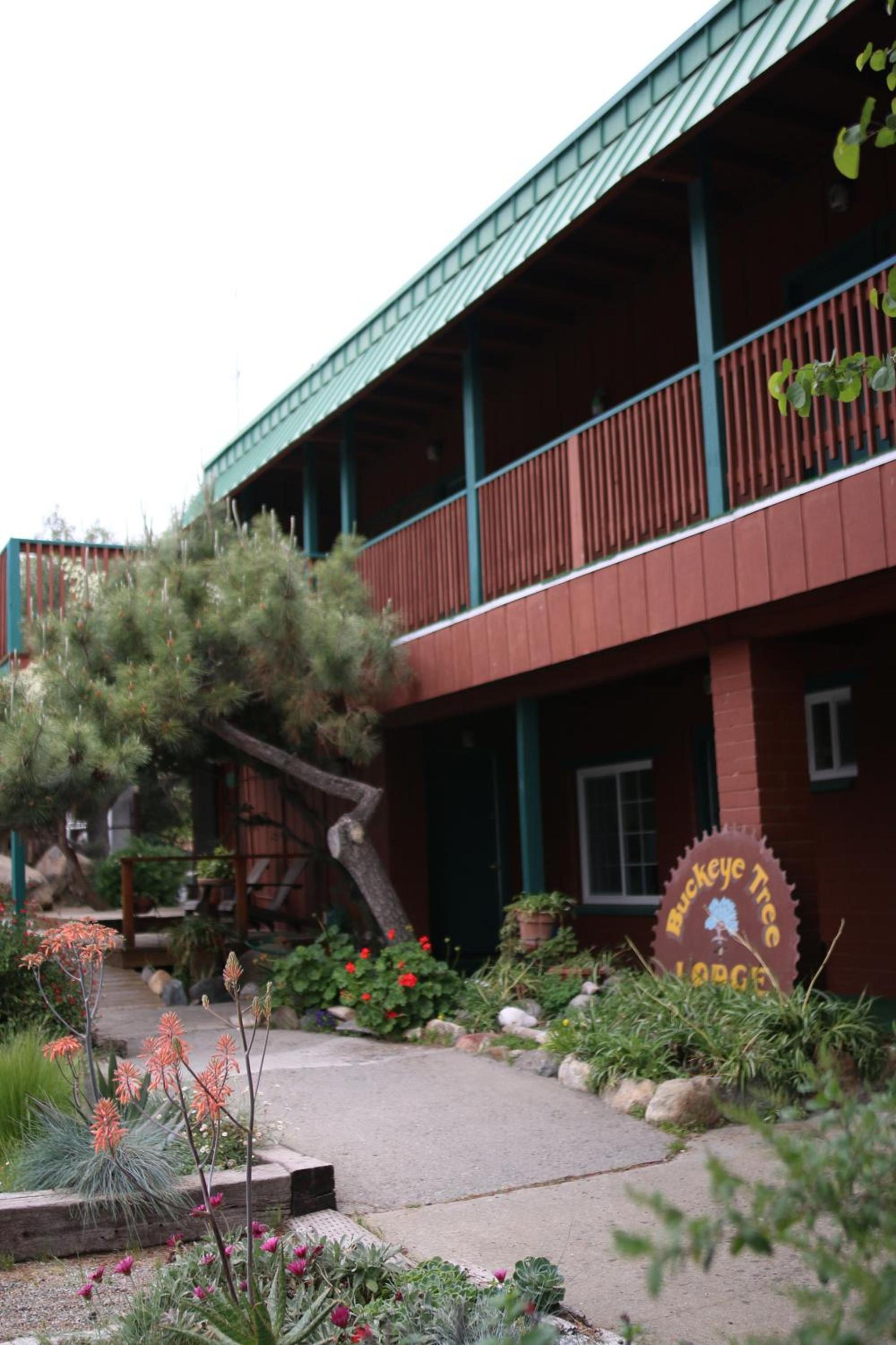 Buckeye Tree Lodge — hotel in Three Rivers