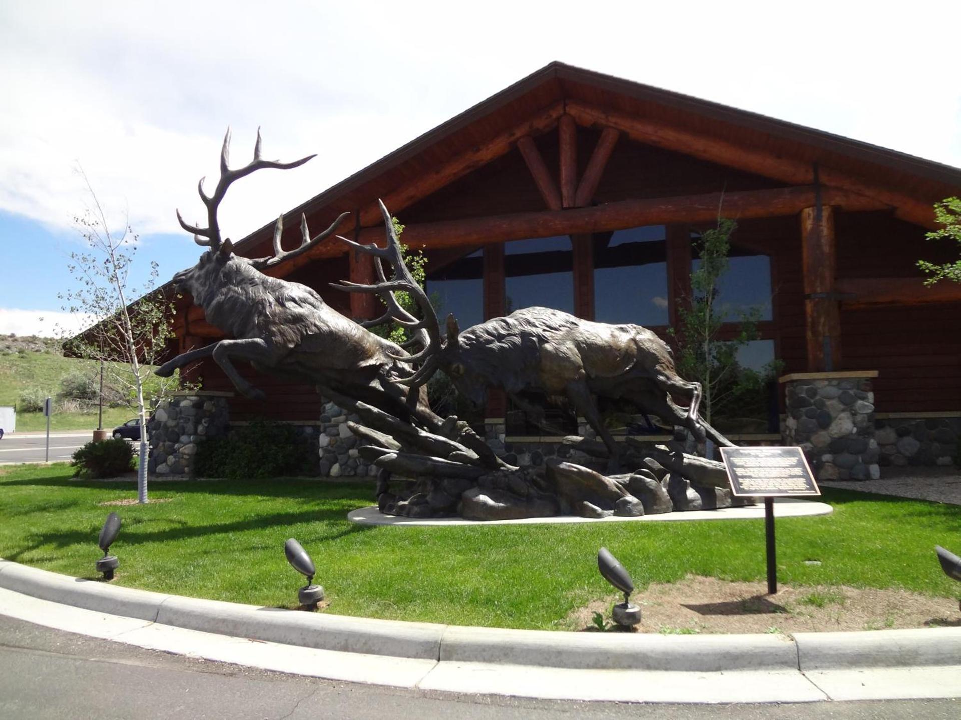 AmericInn by Wyndham Cody — hotel in Cody