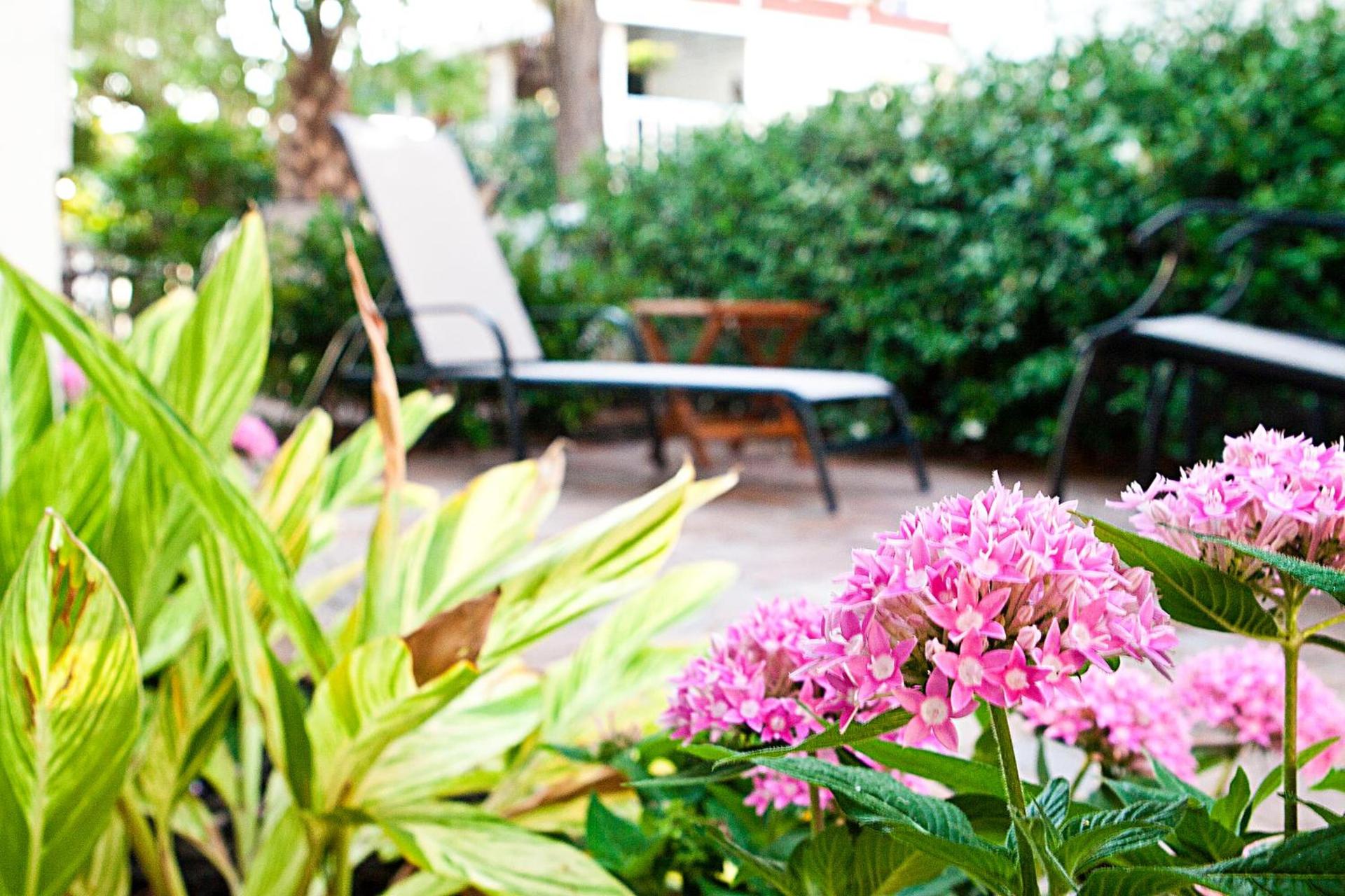 DeSoto Beach Gardens — hotel in Tybee Island