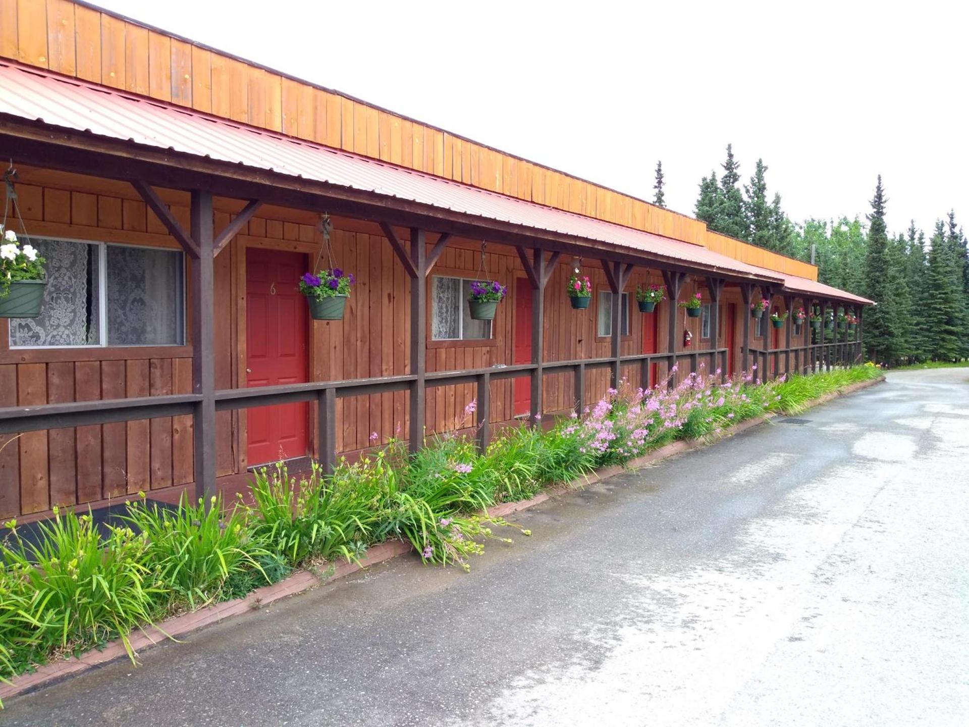 White Moose Lodge — hotel in Healy