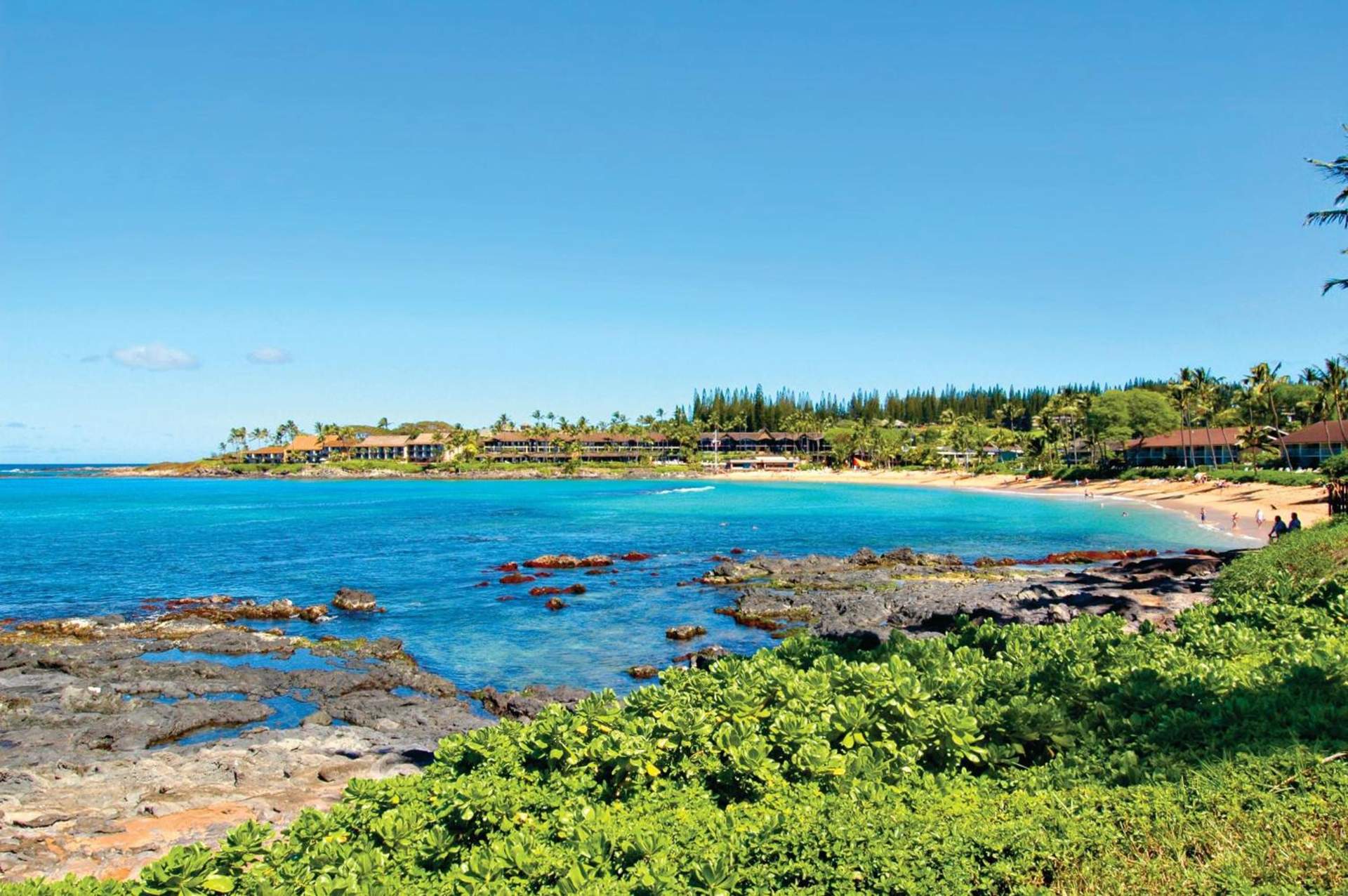 Napili Shores Maui by OUTRIGGER - No Resort & Housekeeping Fees