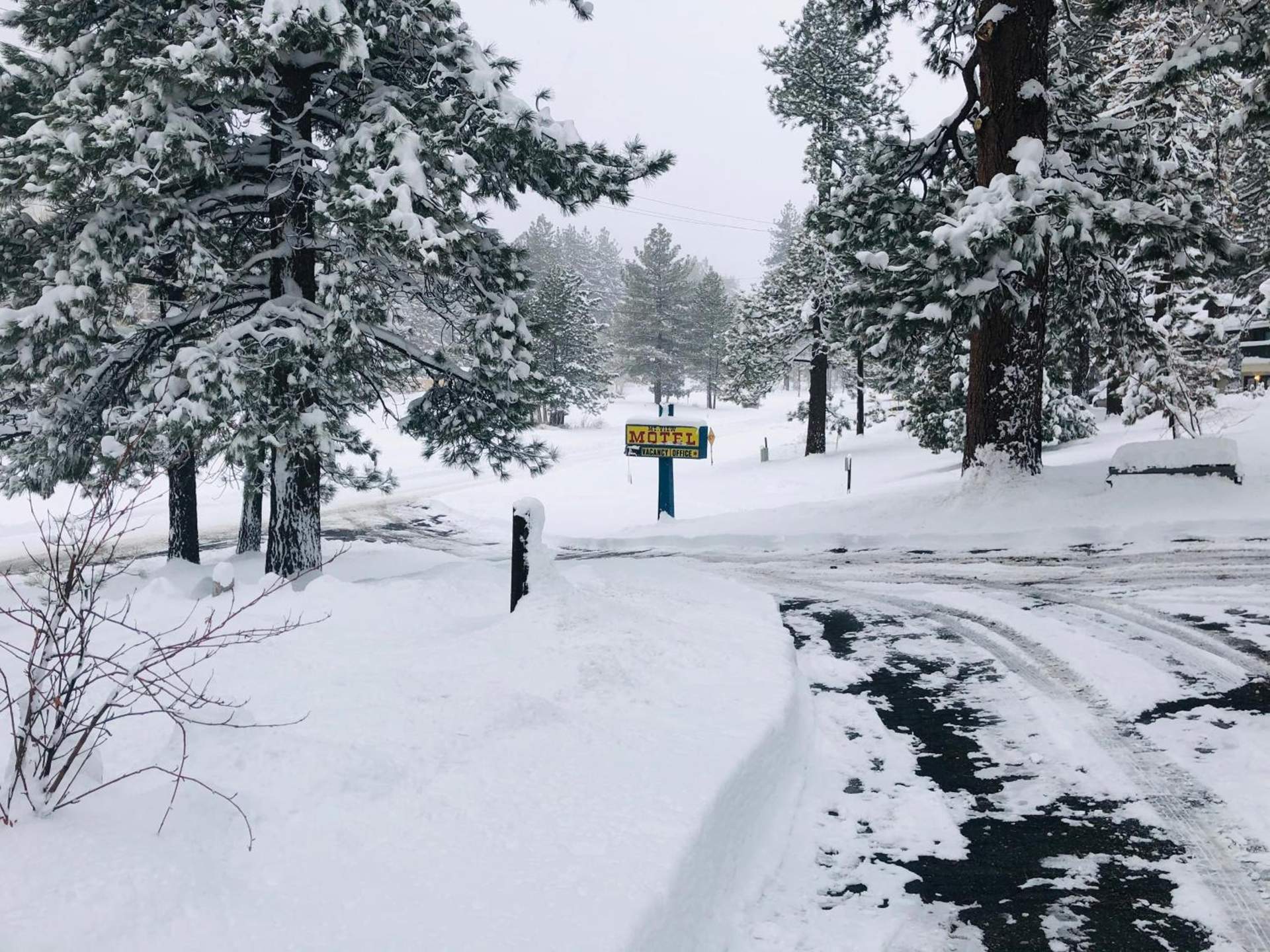 Mountain View Cabins