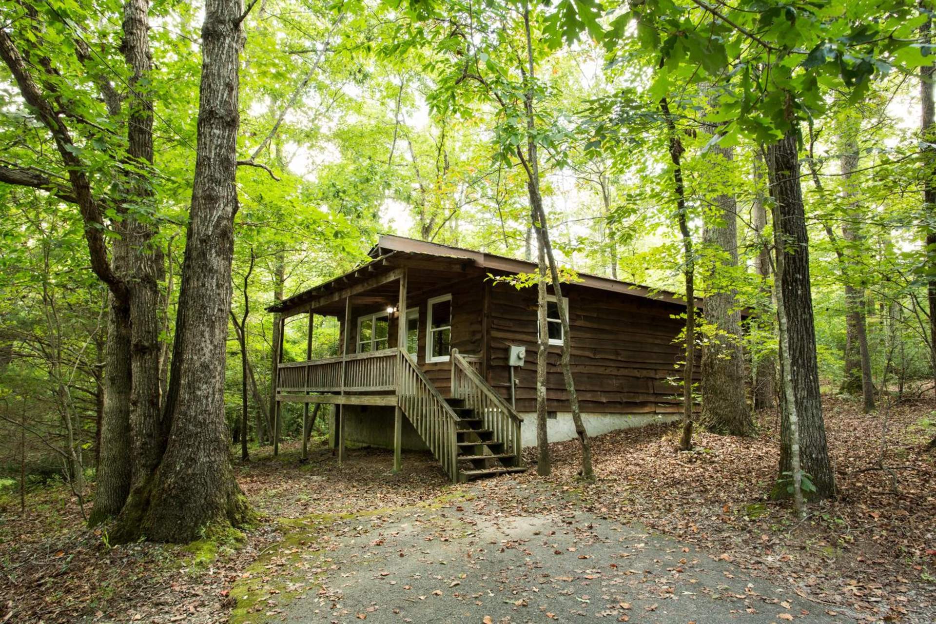 Forrest Hills Mountain Resort