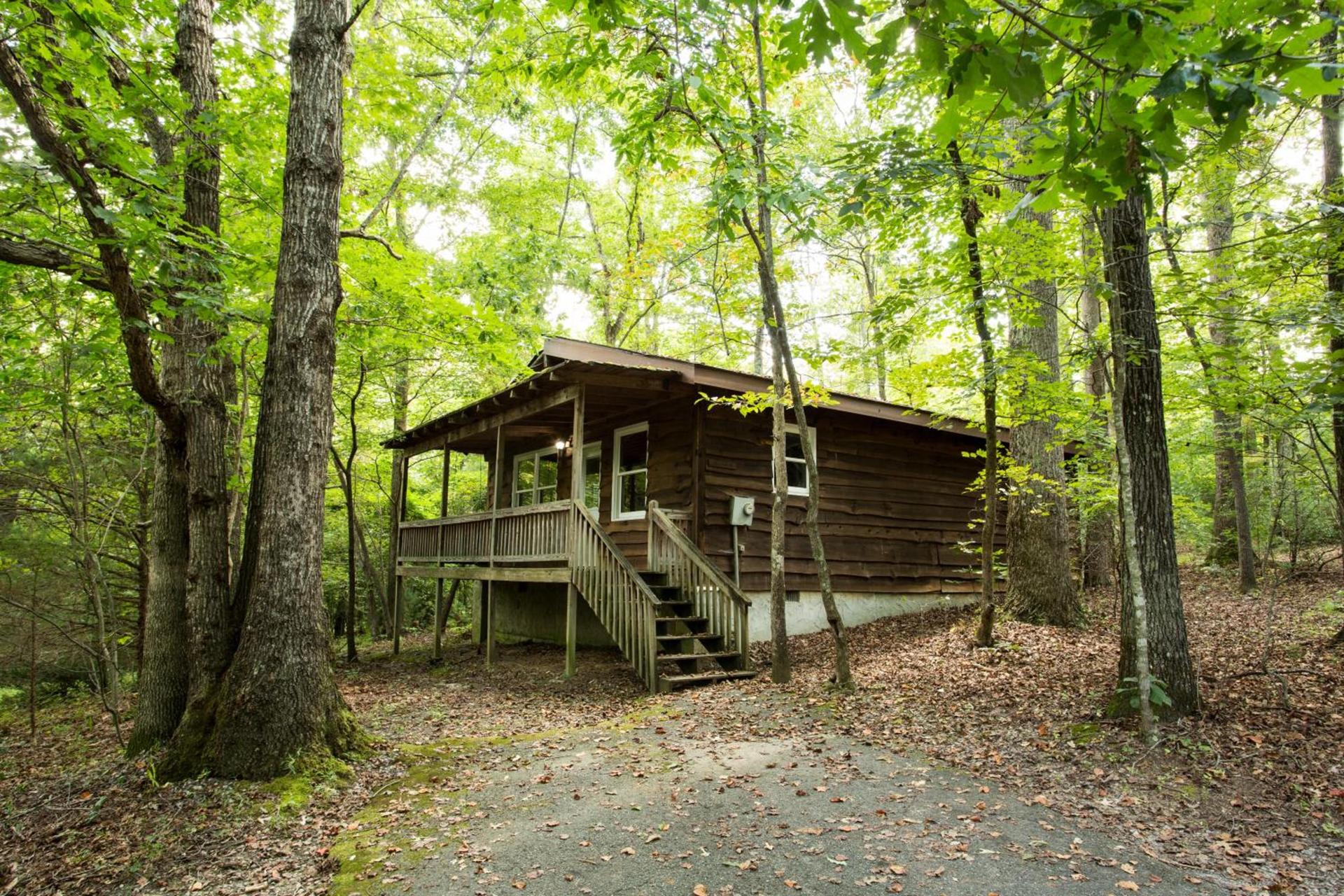 Forrest Hills Mountain Resort — hotel in Dahlonega