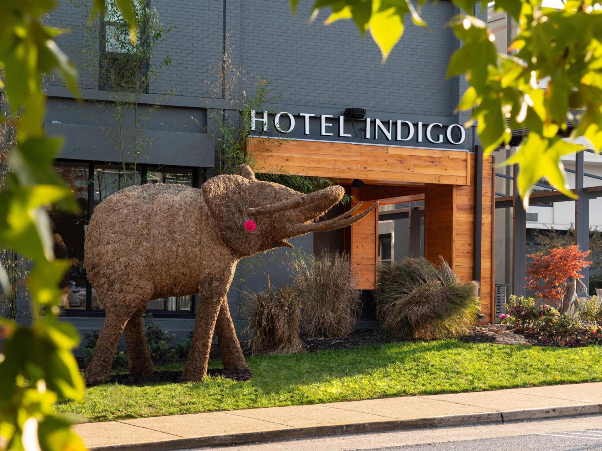 Hotel Indigo Chattanooga - Downtown by IHG — hotel in Chattanooga