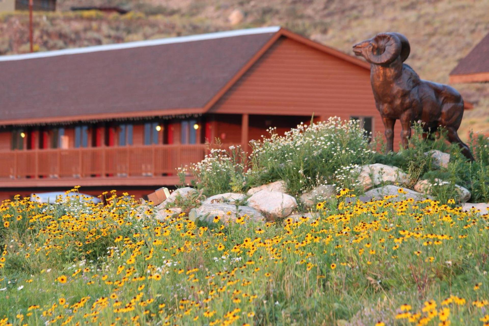 Flat Creek Inn — hotel in Jackson