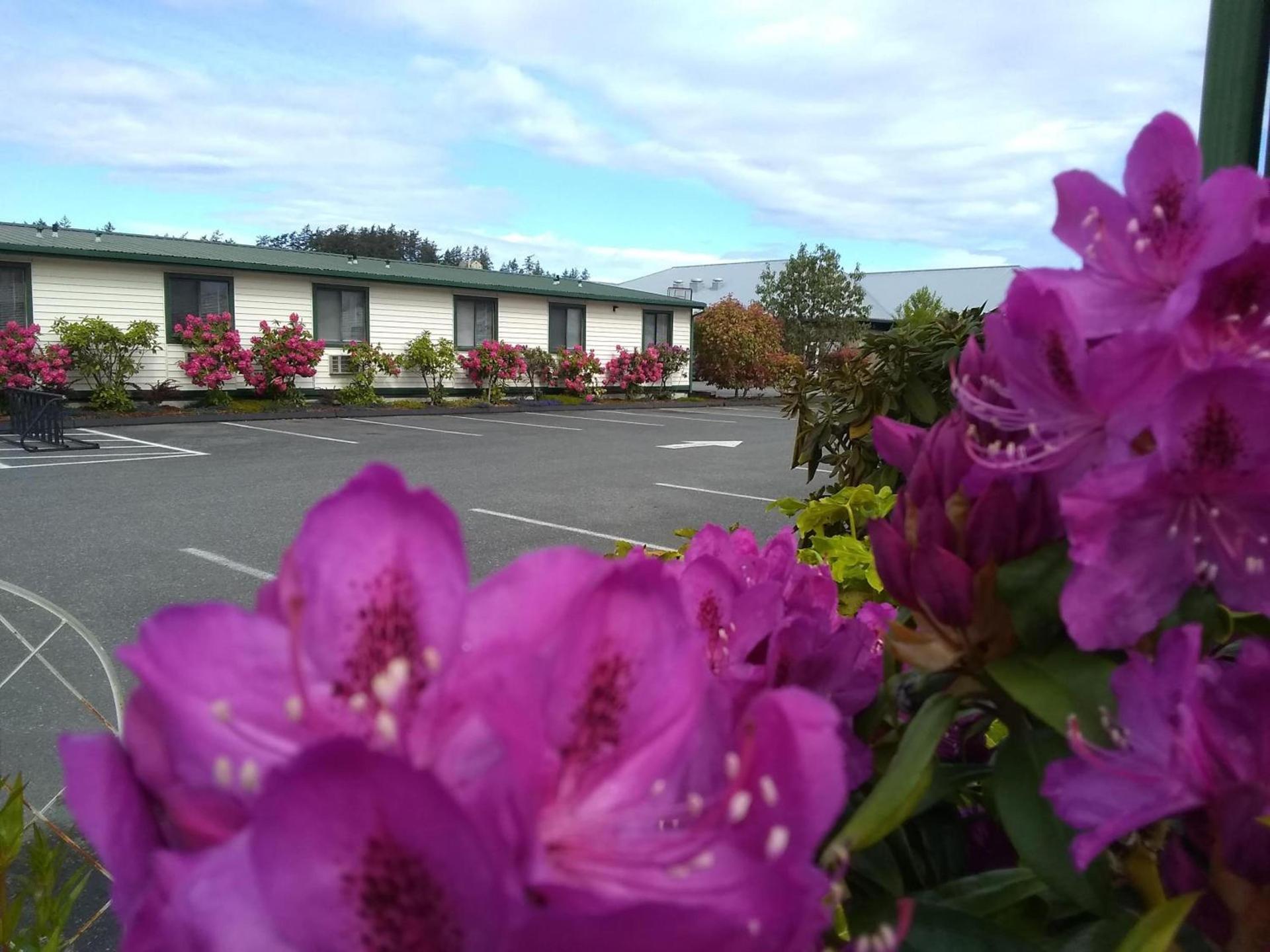 The Orca Inn — hotel in Friday Harbor