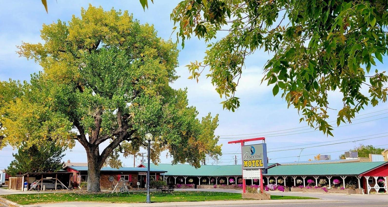Greybull Motel — hotel in Greybull