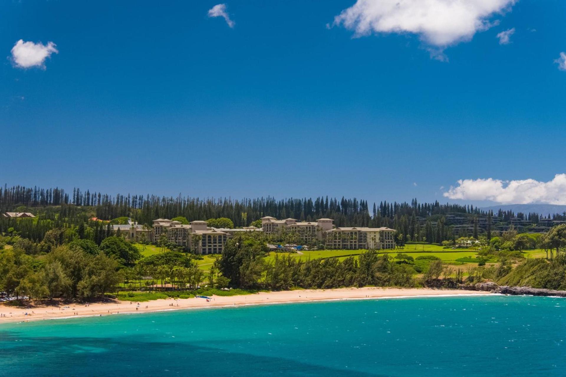 The Ritz-Carlton Maui, Kapalua — hotel in Lahaina