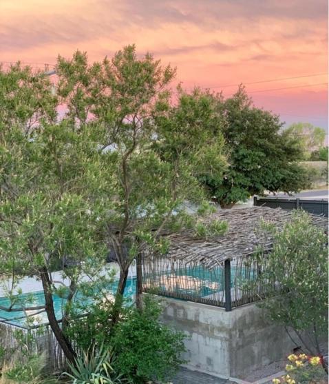 Thunderbird Hotel — hotel in Marfa