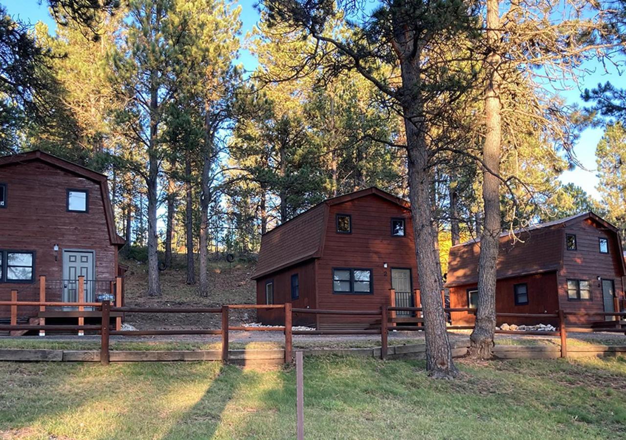 Trailshead Lodge Cabin 1 — hotel in Lead