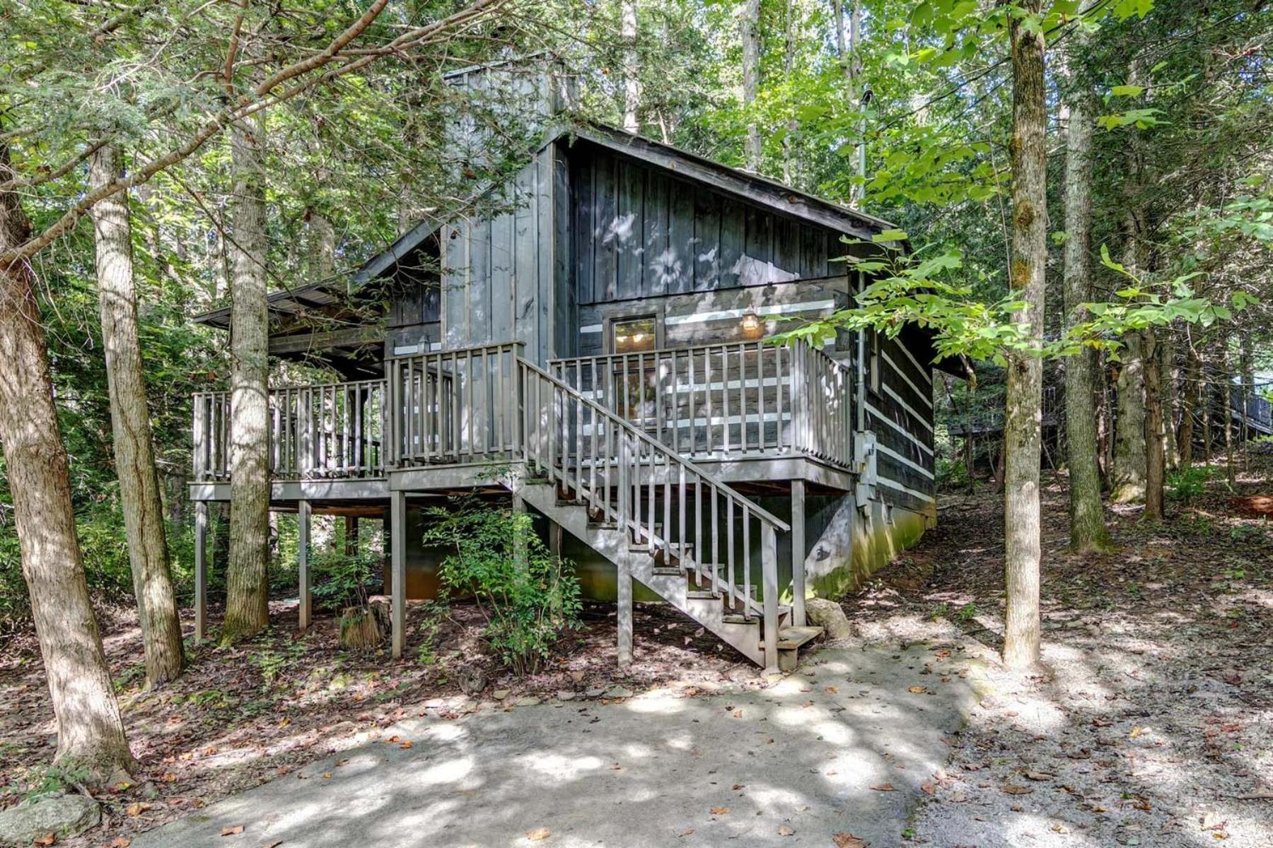 Dancing Bear Lodge — hotel in Townsend
