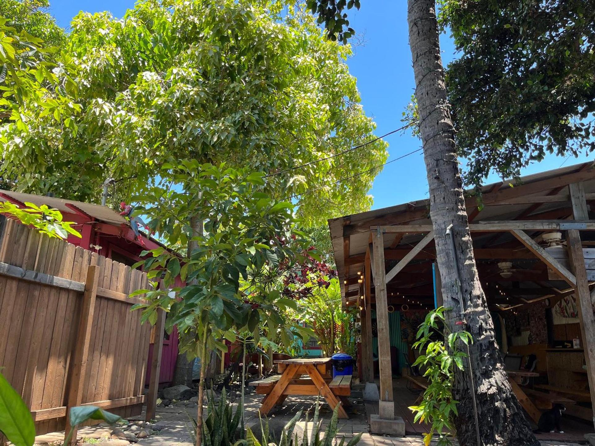 Banana Bungalow Maui Hostel — hotel in Wailuku