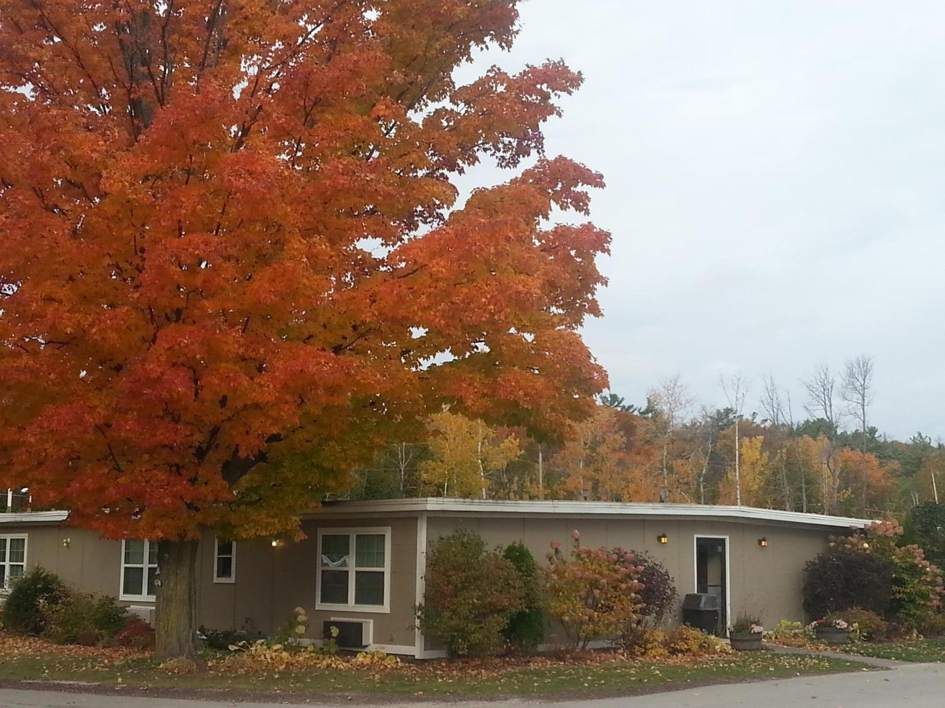 Beach Harbor Resort — hotel in Sturgeon Bay
