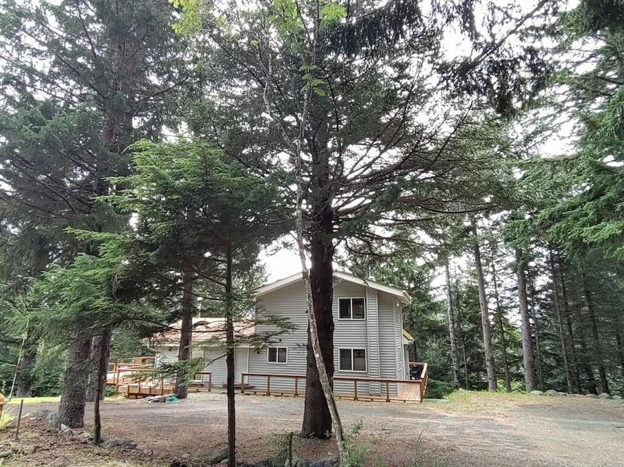 Hunter's Haven — hotel in Haines