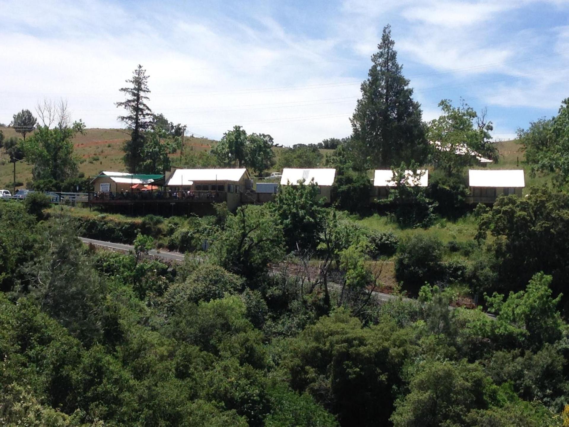 Priest Station Cafe & Cabins — hotel in Groveland