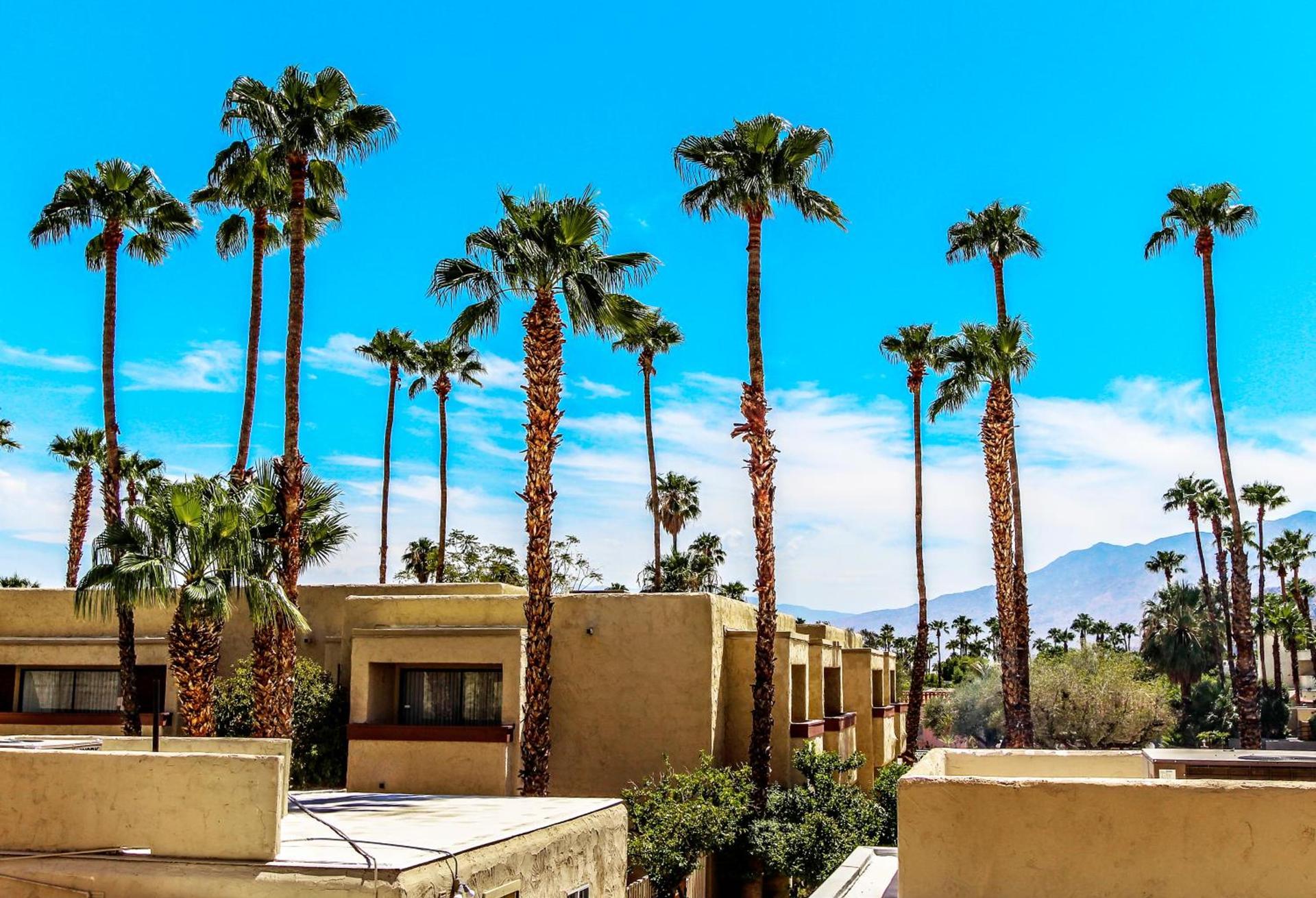 Desert Vacation Villas — hotel in Palm Springs