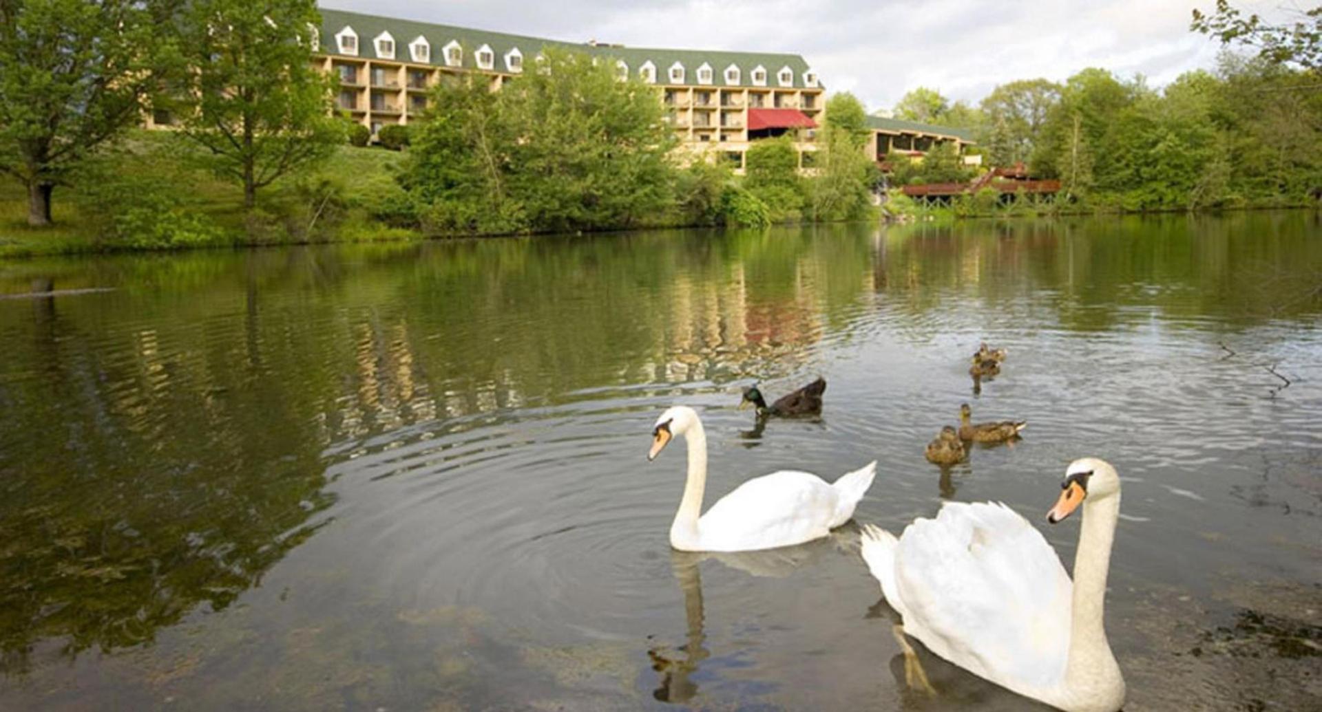 Chateau Resort & Conference Center — hotel in Tannersville