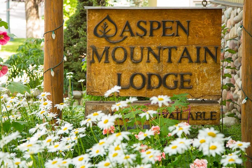 Aspen Mountain Lodge — hotel in Aspen