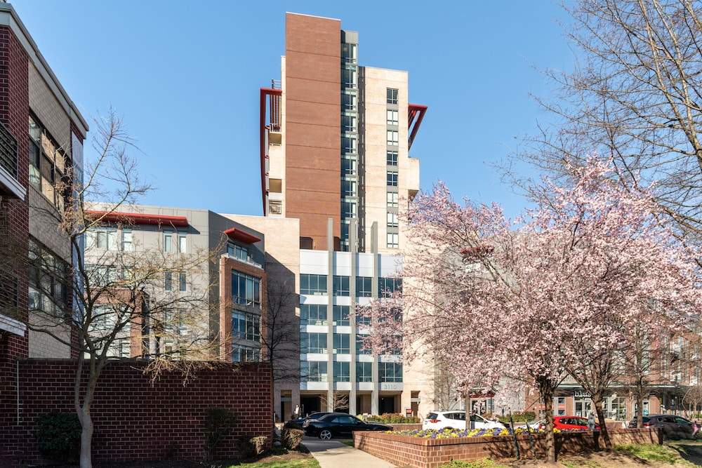 Kasa Alexandria Washington