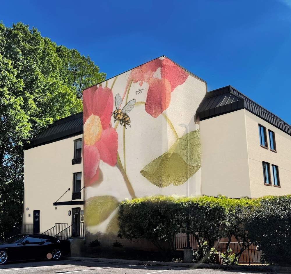 Hive House