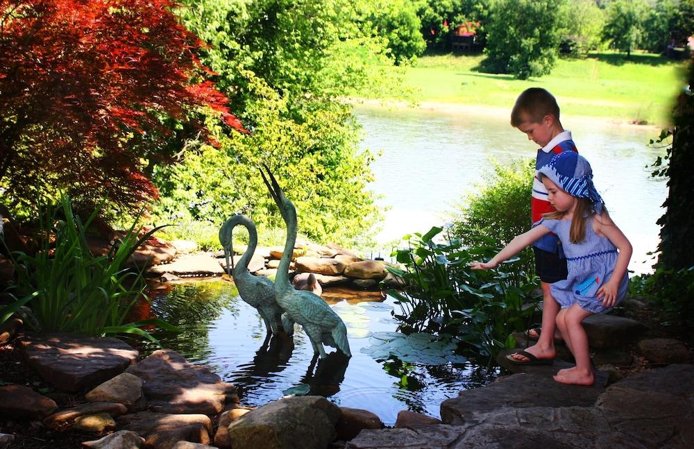 Jack's White River Fishing Resort — hotel in Mountain View